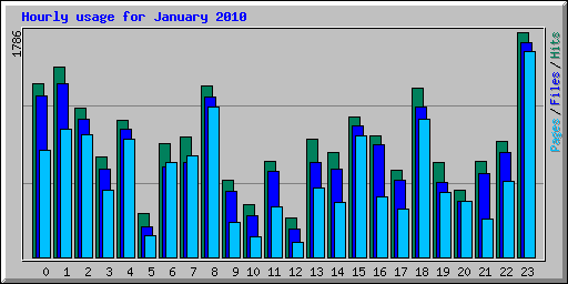 Hourly usage for January 2010