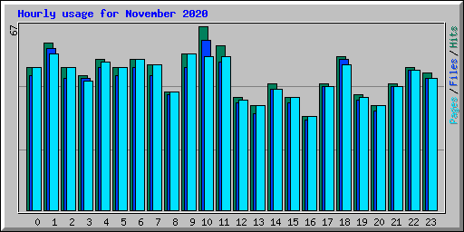 Hourly usage for November 2020